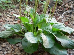 ���������� � ������ ��� ������