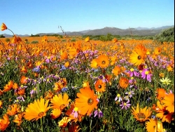 ����������� � ����� �������� ������ � ����