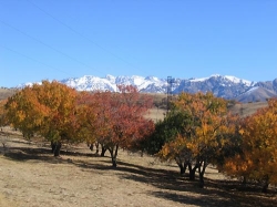 ����������������� � �����������