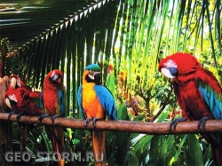 ���������� ����� � ��������