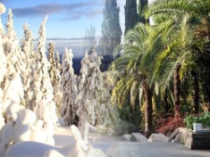 ������ � ������ ������������� ����������