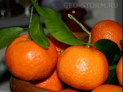 ������������ ������������ �����