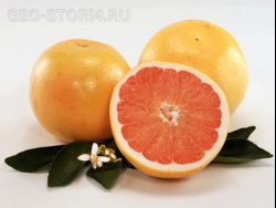 ����� ����������