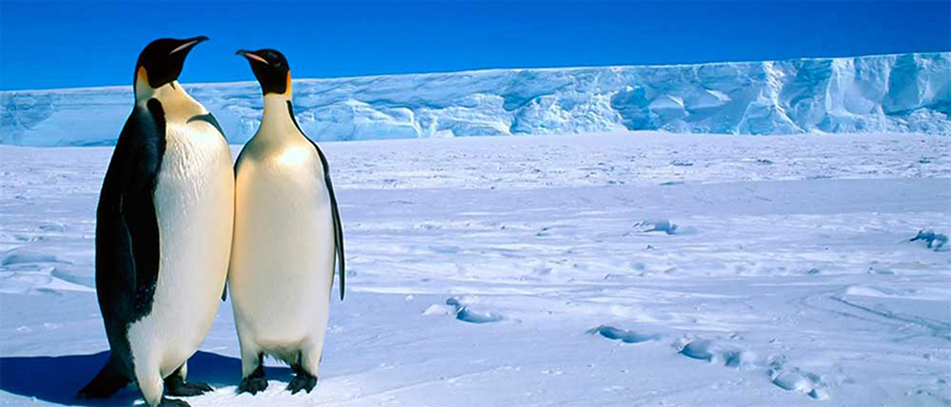 ������� � ������